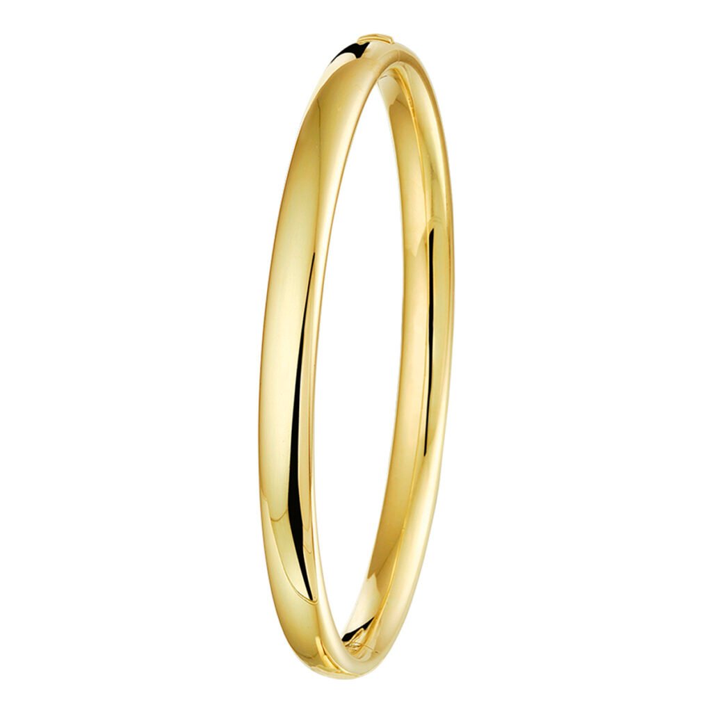 bangle scharnier massief ovale buis 6 mm